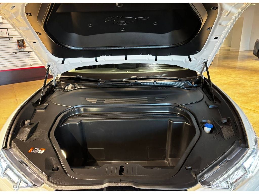 2021 Ford Mustang Mach-E Premium