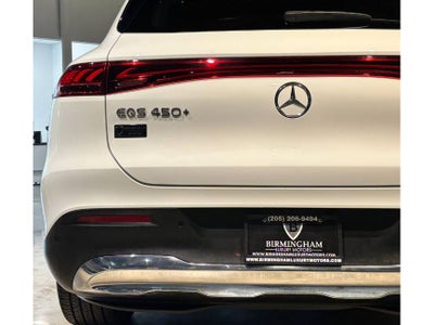 2023 Mercedes-Benz EQS EQS 450+